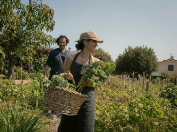 Man and woman harvesting greens in the garden